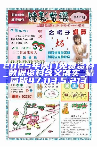 2025新澳精准正版澳门，详细解答、详细解答解释落实