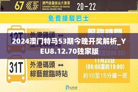 2025年买特马最准网站详细解答、解释与落实、详细解答解释落实