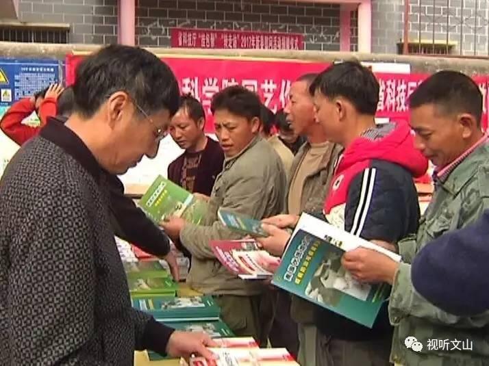 新澳门正版资料全面释义、深度解答解释落实