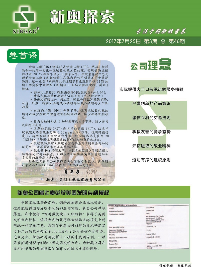 新澳2025年全年正版资料的全面释义、解释与落实、定量解答解释落实