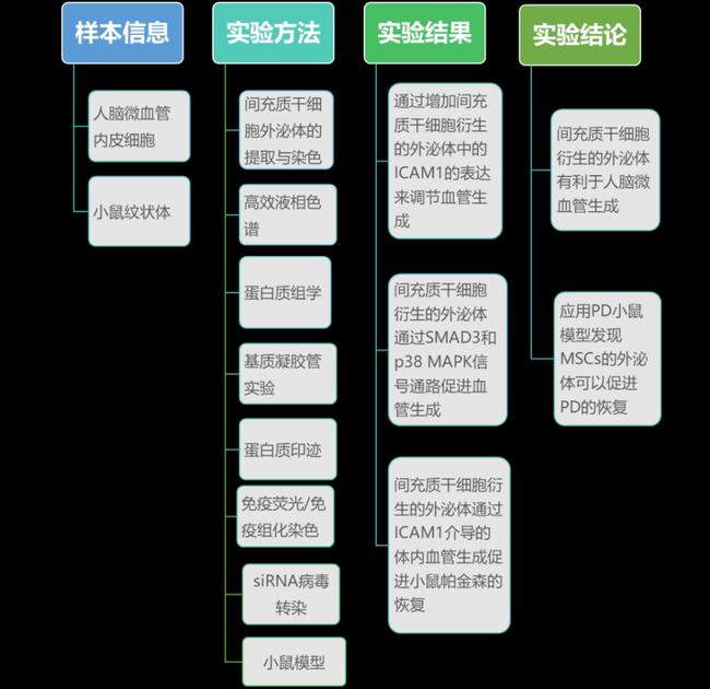 2025年新澳门天天彩免费大全公开请全面2释义、解释与落实、定量解答解释落实