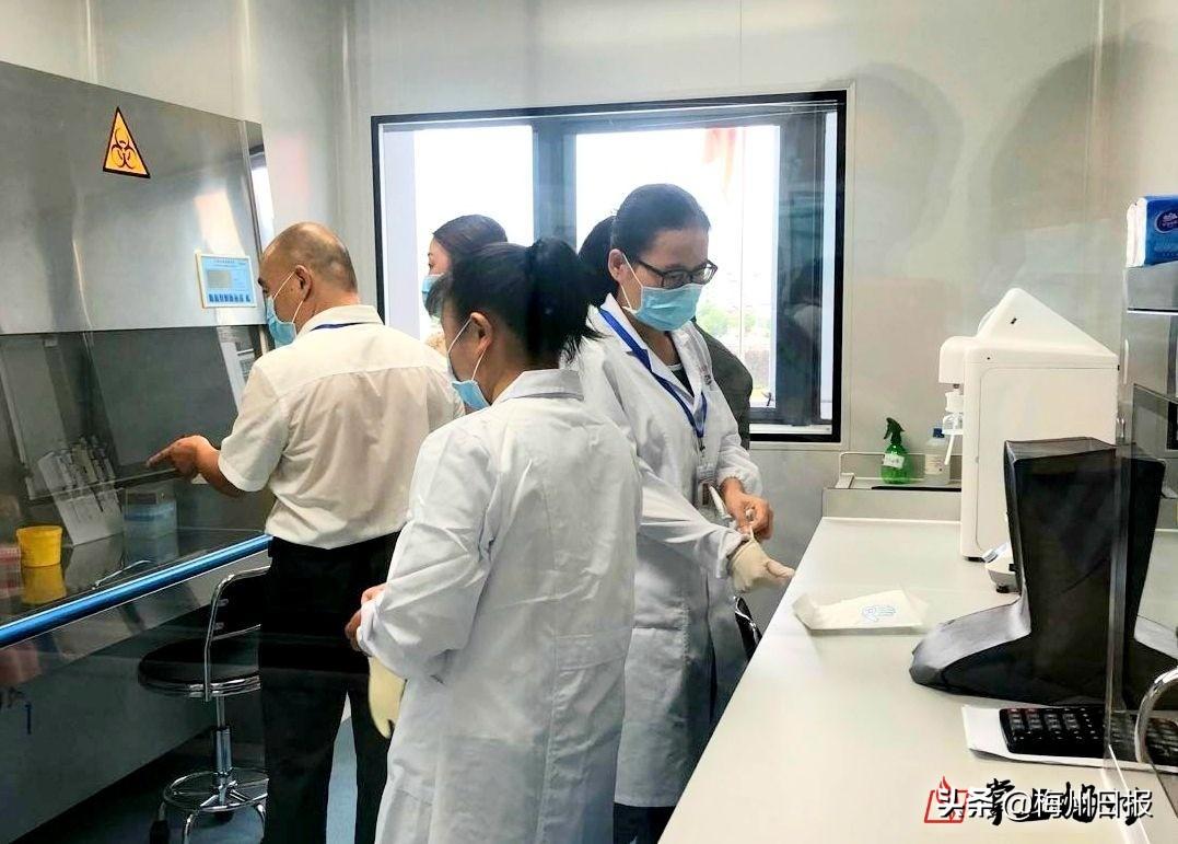 2025年新澳门天天免费开查询详细解答、解释与落实、定量解答解释落实
