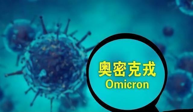 澳门特产必购物清单请全面释义、解释与落实、实时解答解释落实