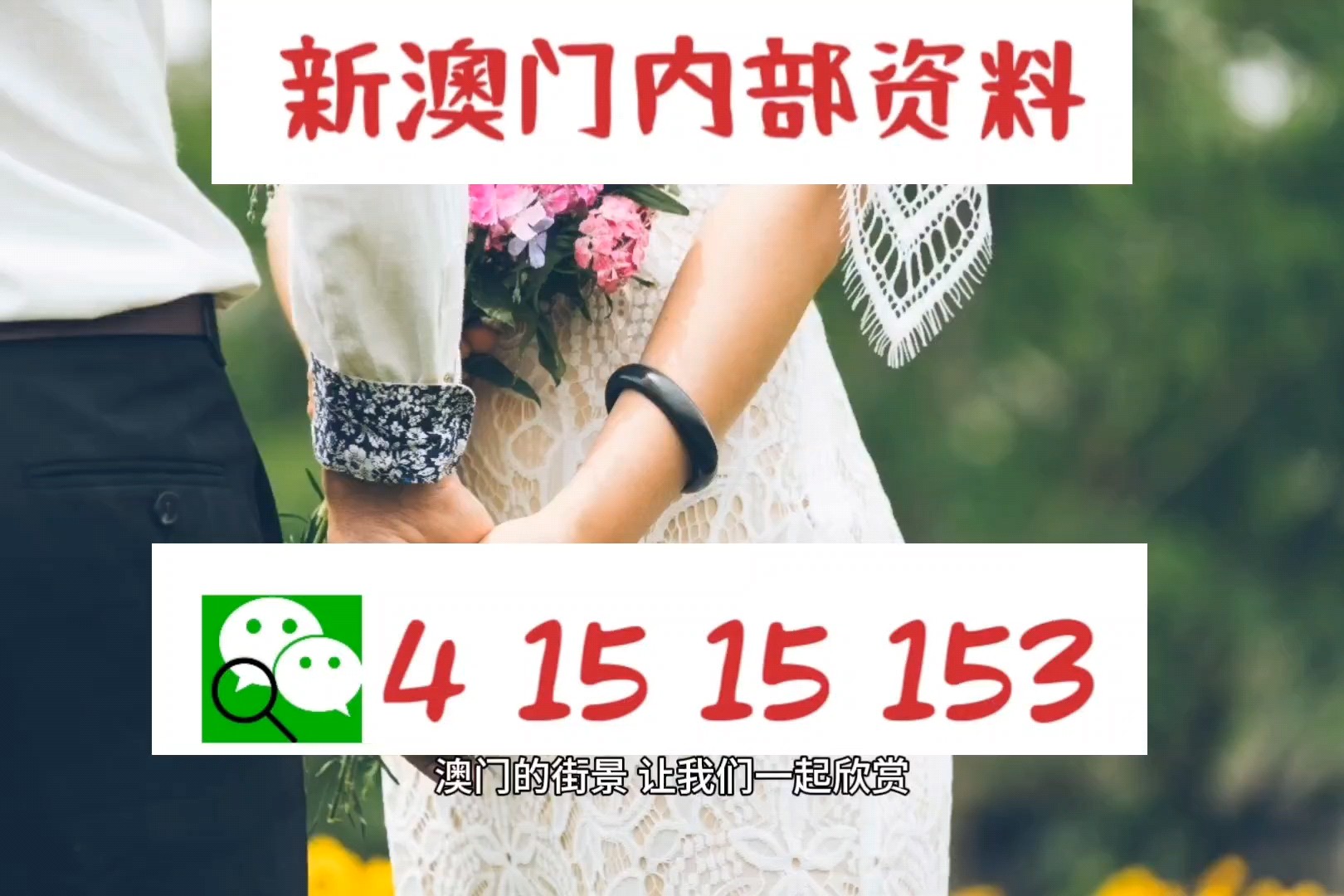 2025新澳精准正版图库，全面释义、详细解答解释落实